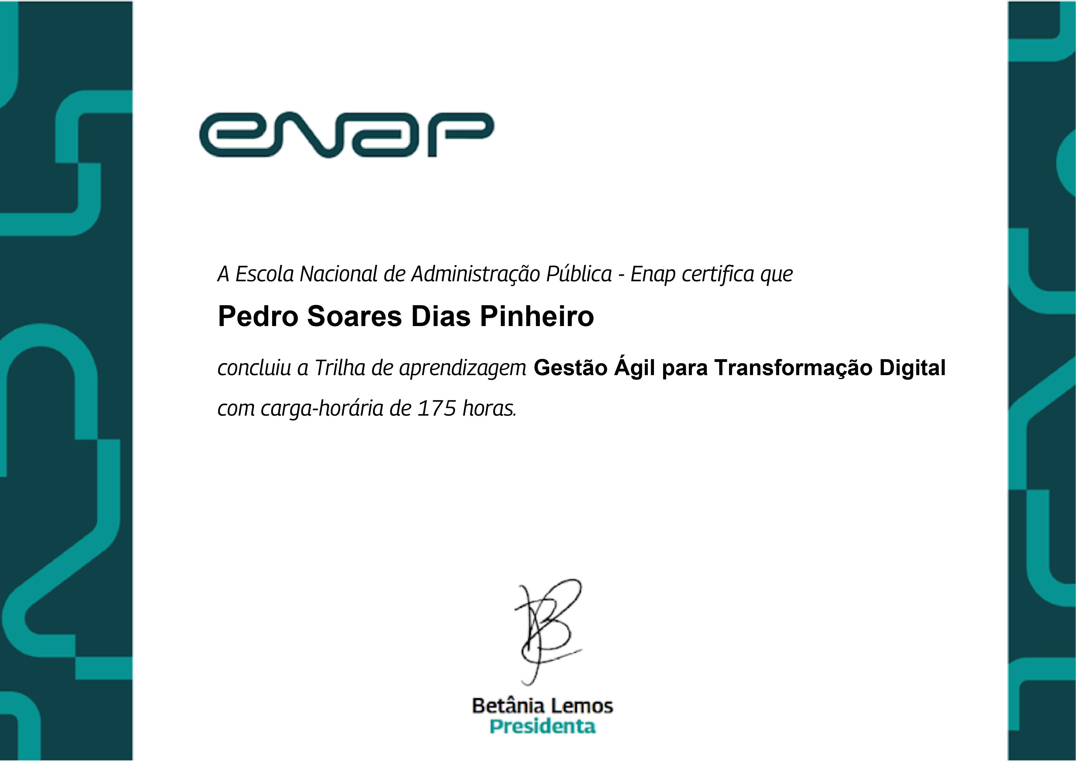 Pedro Soares Dias Pinheiro